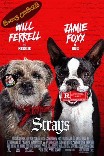 Strays (2023) Sinhala Subtitle | සිංහල උපසිරැසි
