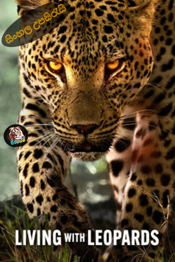 Living with Leopards (2024) Sinhala Subtitle | සිංහල උපසිරැසි