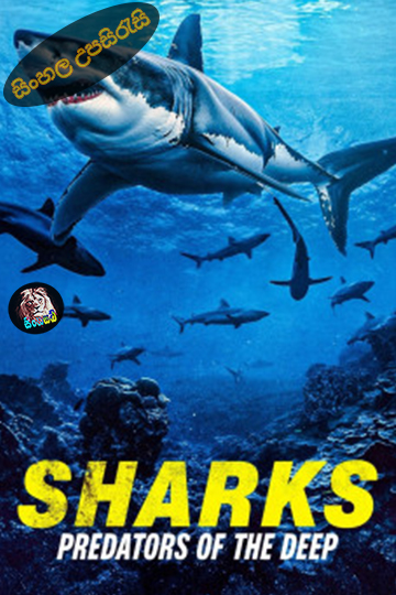 Sharks Predators of the Deep (2024) Sinhala Subtitle | සිංහල උපසිරැසි