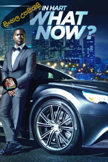 Kevin Hart: What Now? (2016) Sinhala Subtitle | සිංහල උපසිරැසි