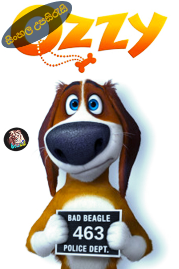 Image Not Found