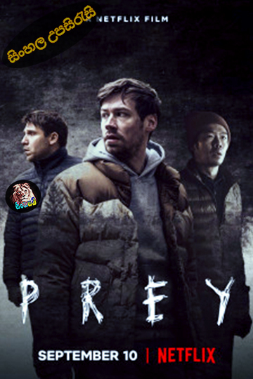Prey (2021) Sinhala Subtitle | සිංහල උපසිරැසි